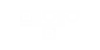 وکیل امیر شیری